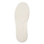 412402ARENA260-7.jpg