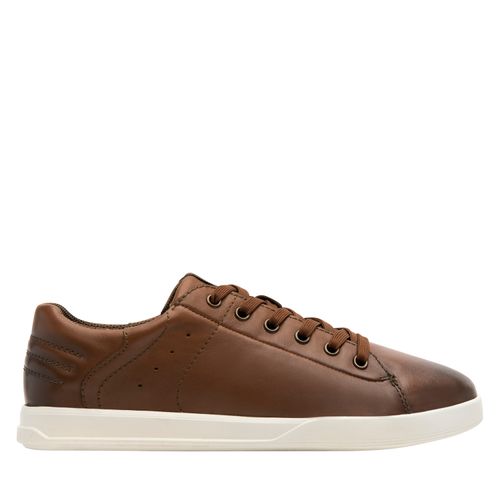 Zapatilla Hombre Creta 412402 Café