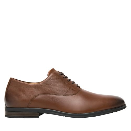 Zapato Hombre Crypto 413602 Café
