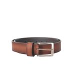 CIN1099TAN_1