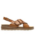 129501TAN_0