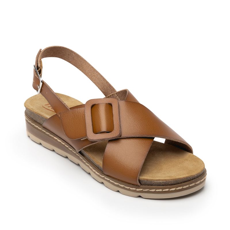 129501TAN_1