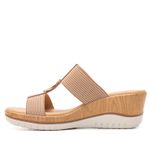 113313CAMEL_2