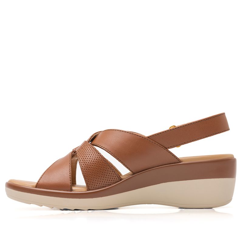 116009TAN_2