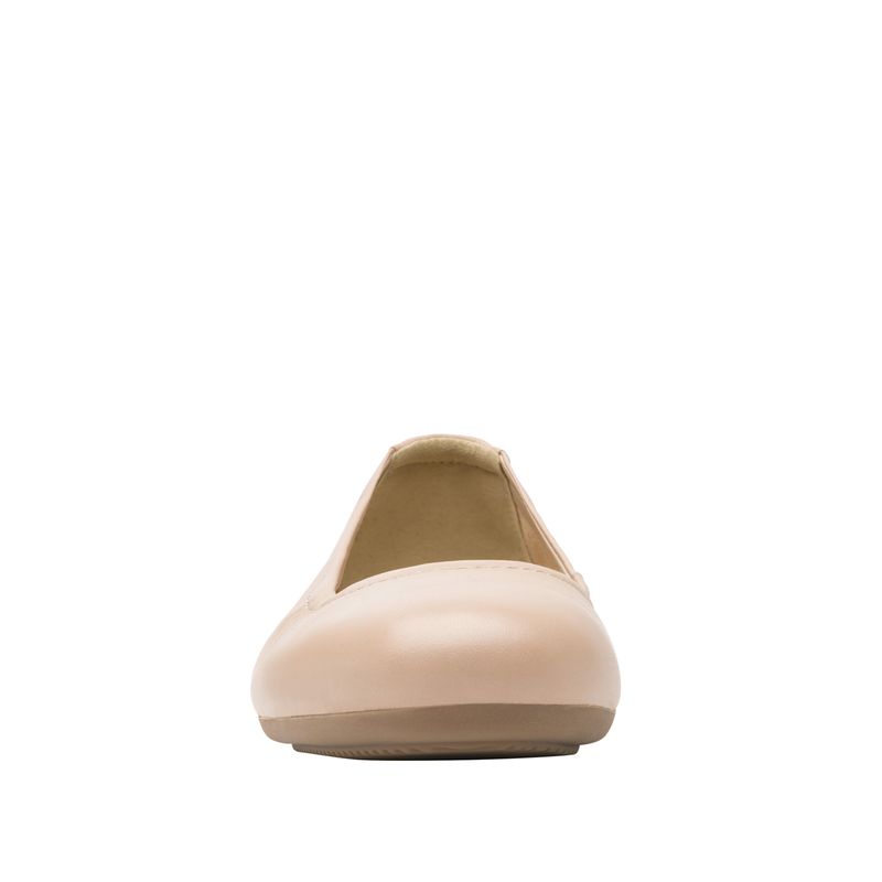p-116301ROSA-5