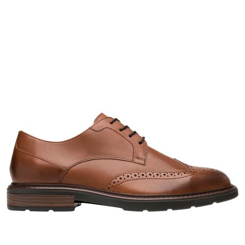 Zapato Hombre Herran 419407 Café