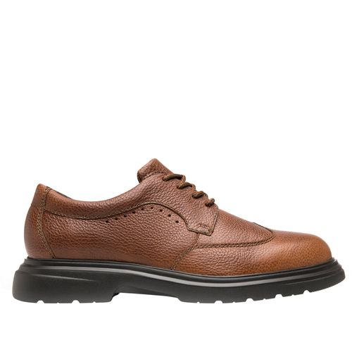 Zapato Hombre Amendola 418507 Café